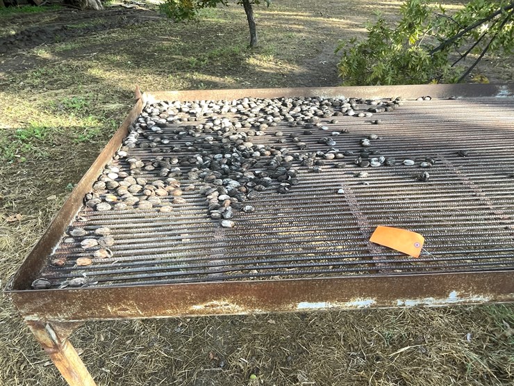 #3732-•-pecan-sorting-table-image-6