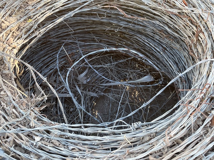 #3725-•-barbed-wire-image-6