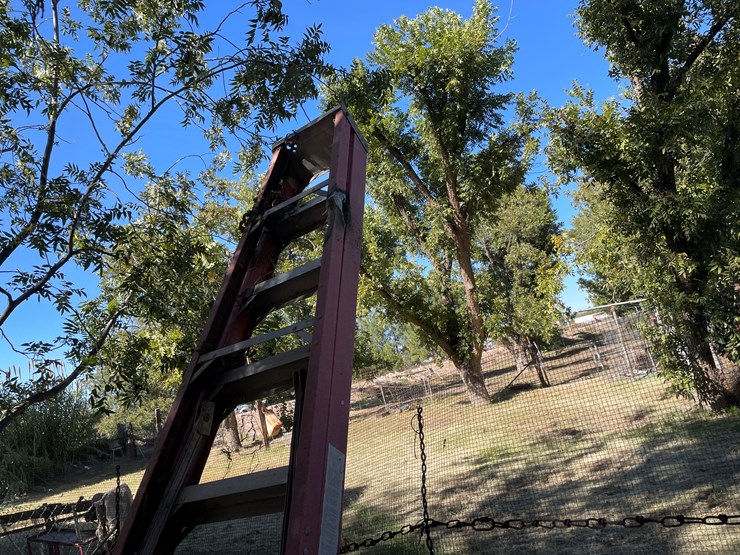 #3705-•-10'-step-ladder-image-10