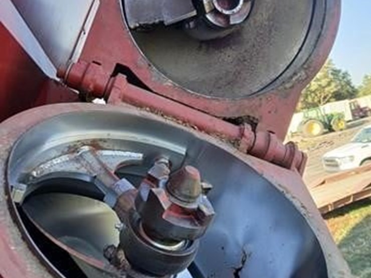 sunflower-8782-image-6