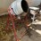 #3711-•-red-lion-cement-mixer-image-2