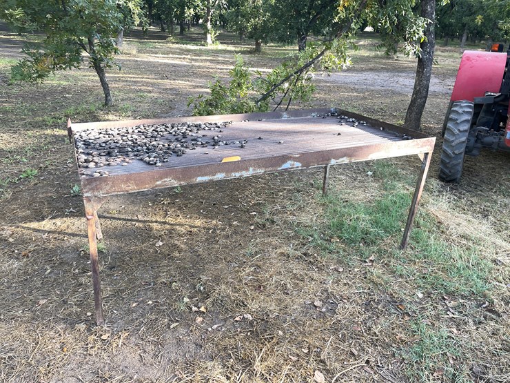 #3732-•-pecan-sorting-table-image-1