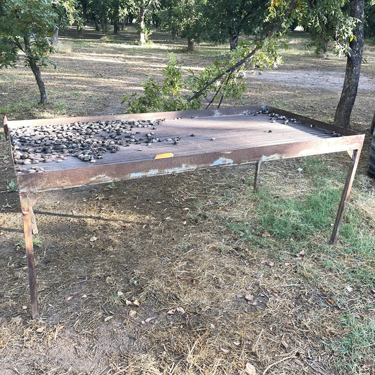 #3732 • Pecan Sorting Table