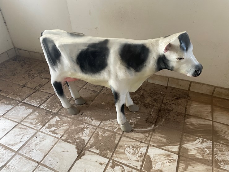 #3736-•-painted-metal-cow-image-6