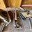#3672-•-tools-and-large-wooden-table-image-25