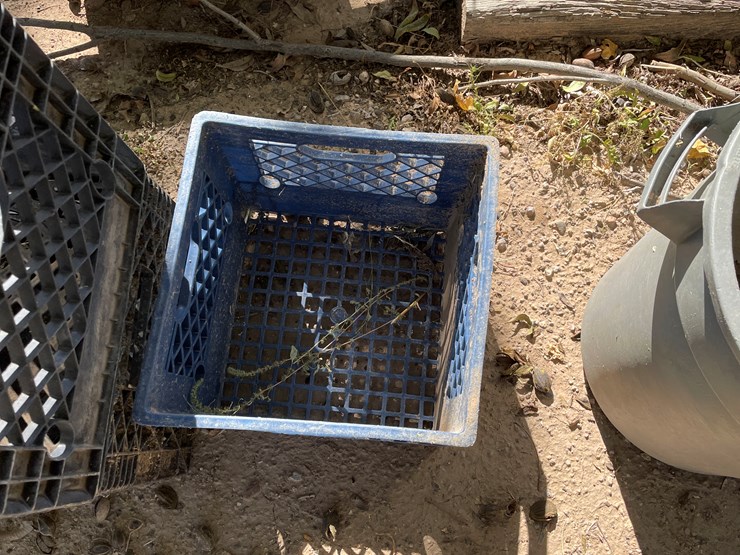 #3656-•-lot-of-crates-and-mini-trash-bin-image-5