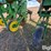 john-deere-886-image-17