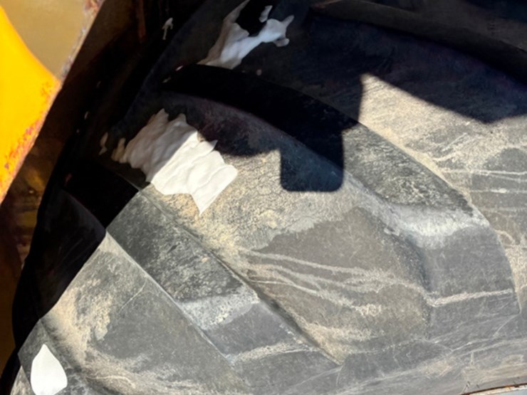 raven-viper-image-59