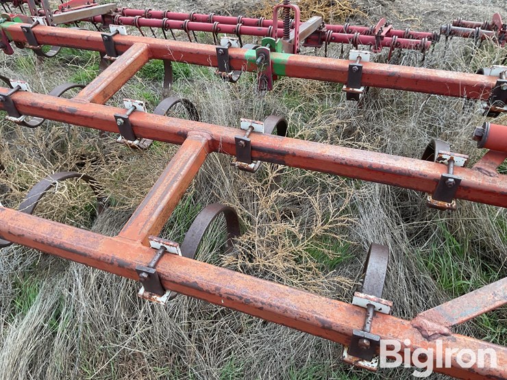 international-55-image-15