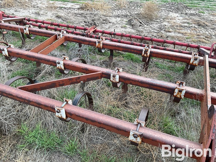 international-55-image-17