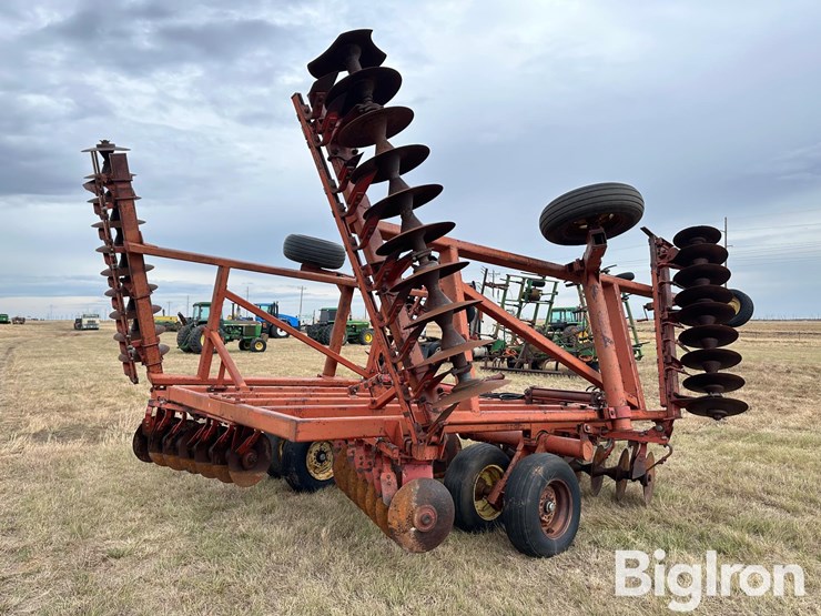 sunflower-ta-24-image-5