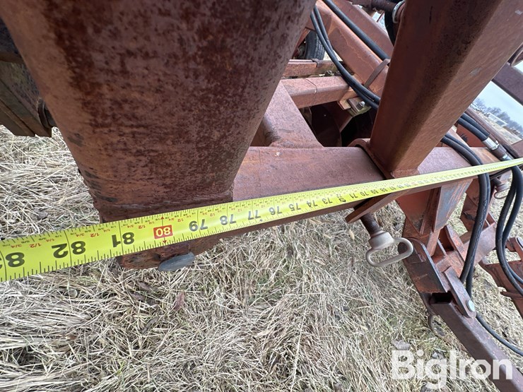 sunflower-g20-image-18