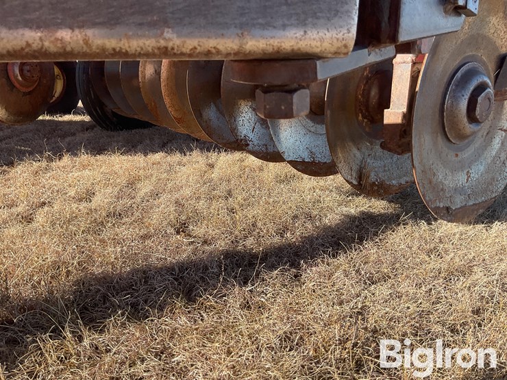 sunflower-1440-35-image-13