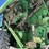 john-deere-9550-image-20