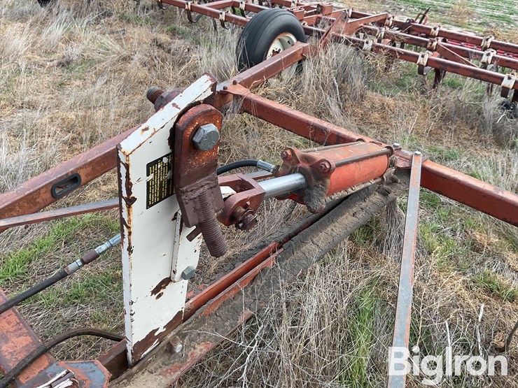 international-55-image-12