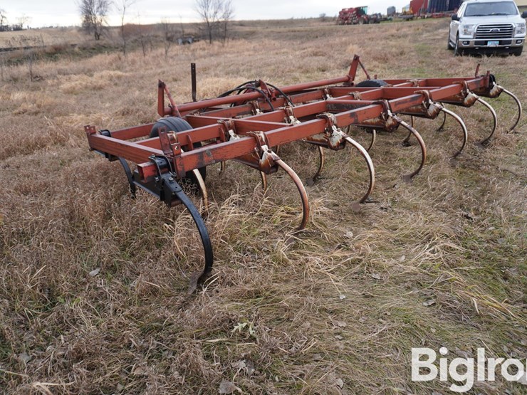 international-15-image-7