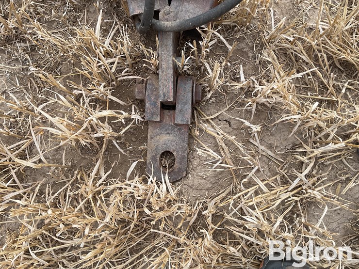 international-3-image-9