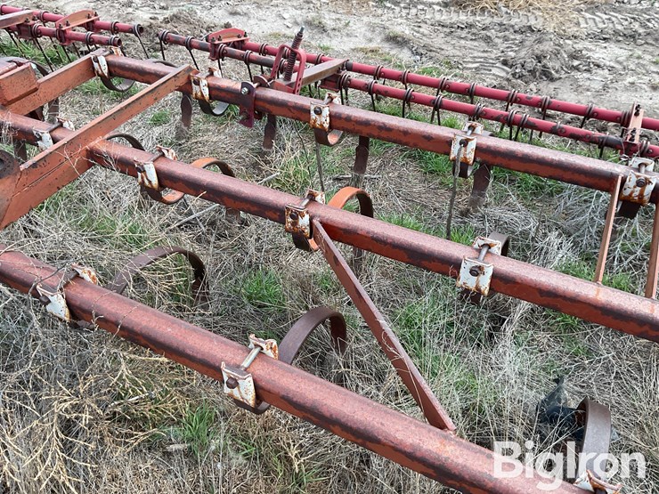 international-55-image-18