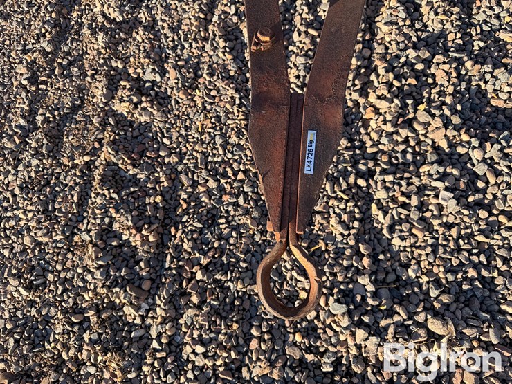 international-10-image-9