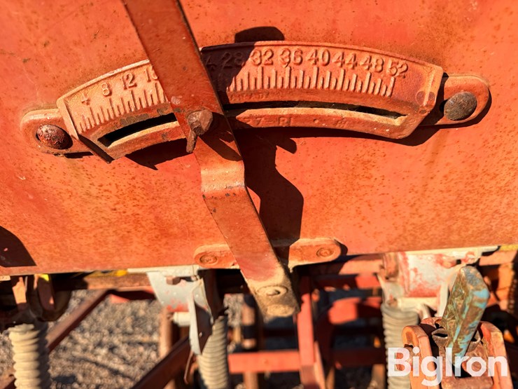 international-10-image-17