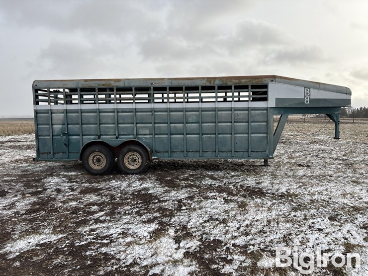 1992-diamond-d-image-4