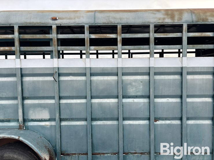 1992-diamond-d-image-19