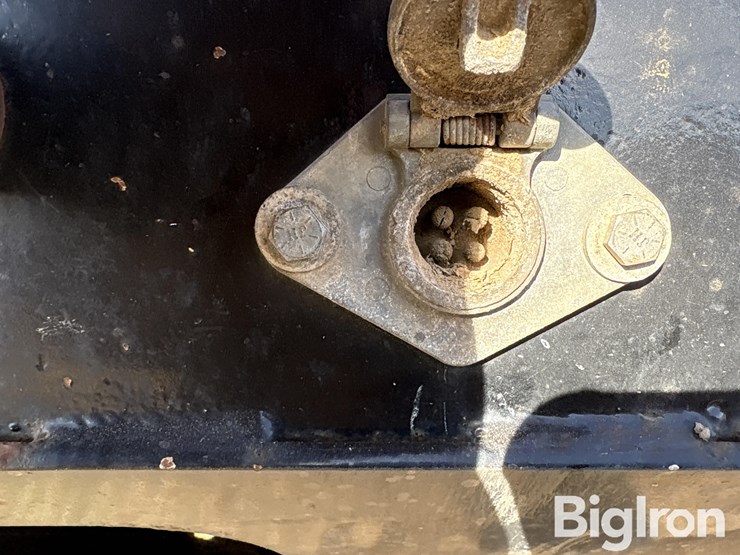 doonan-black-gold-image-11