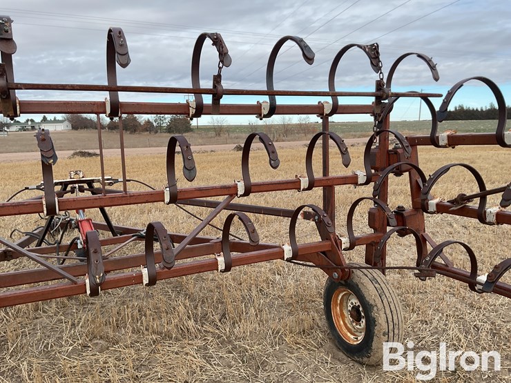 international-3-image-16