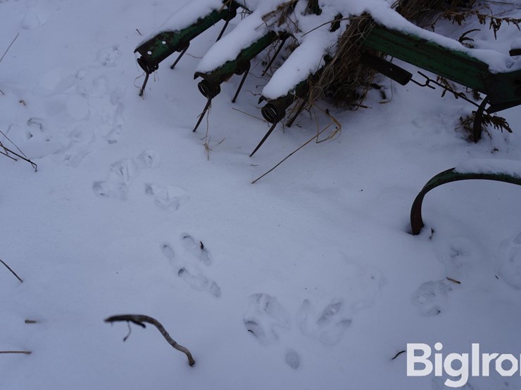 john-deere-24-image-14