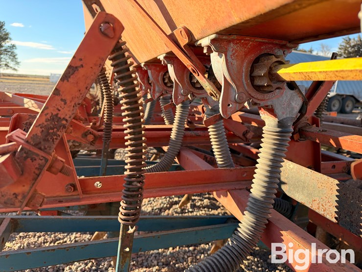 international-10-image-19