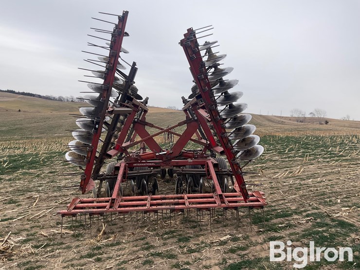 international-496-image-6