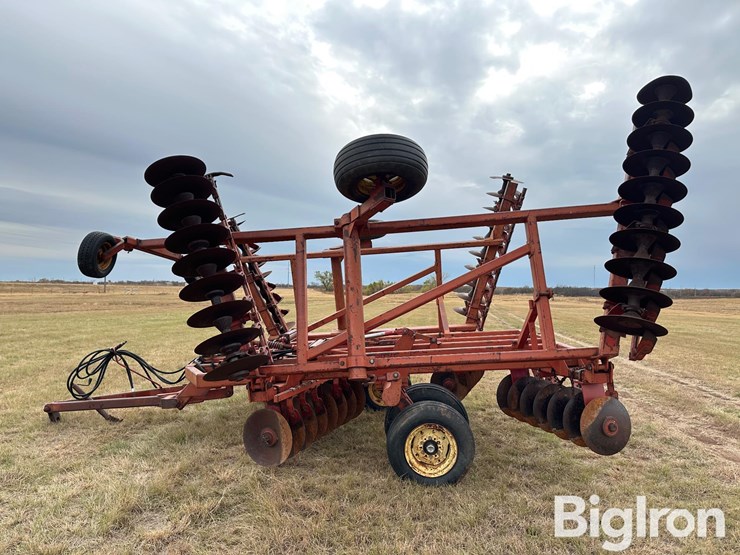 sunflower-ta-24-image-8