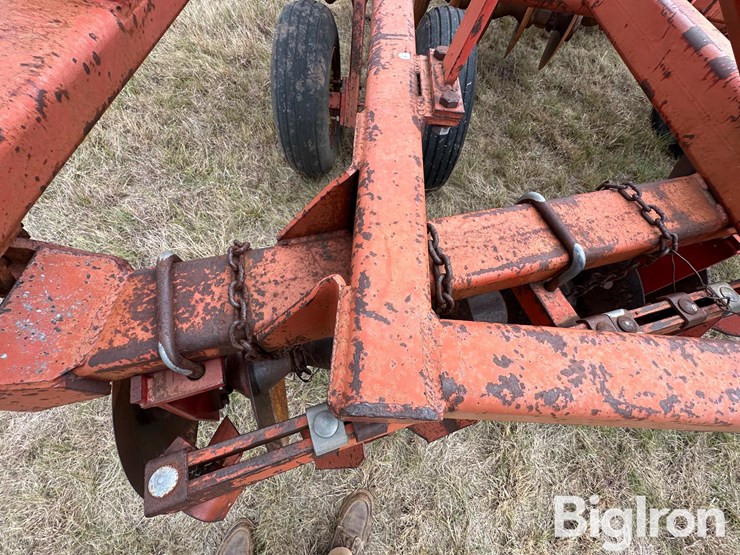 sunflower-ta-24-image-16