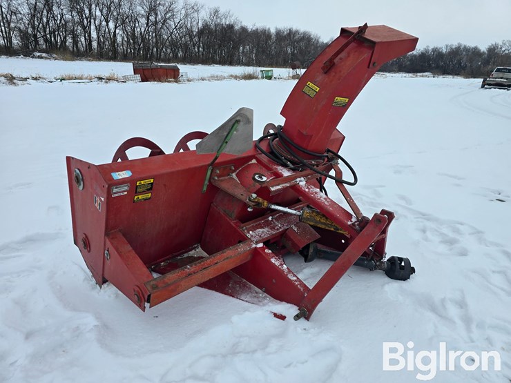 international-80-image-3