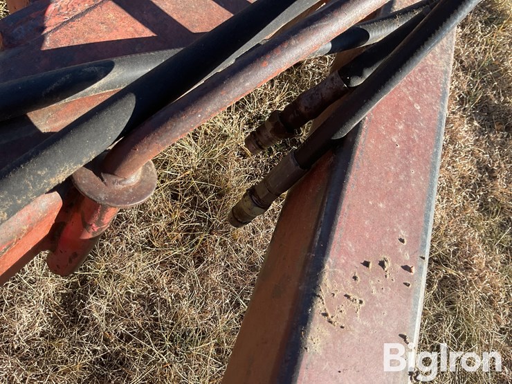 sunflower-1440-35-image-12