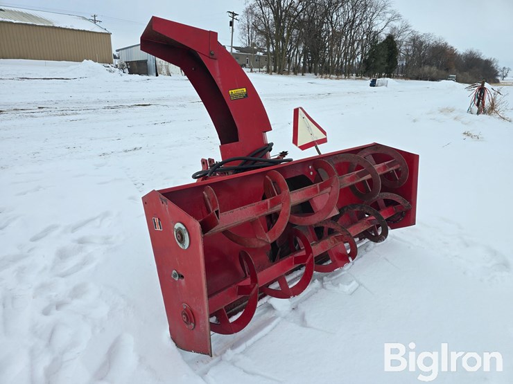 international-80-image-7