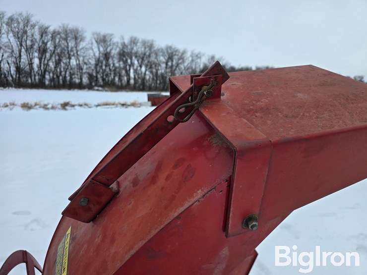 international-80-image-16