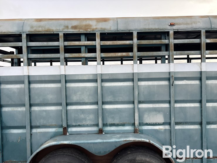 1992-diamond-d-image-20