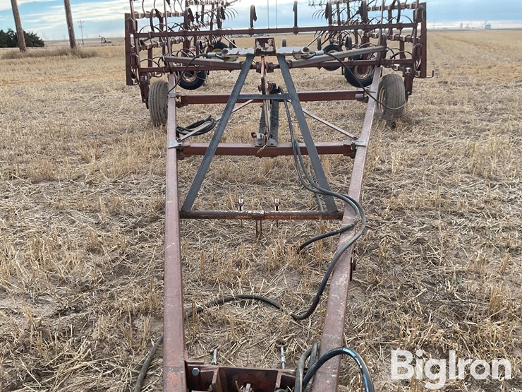 international-3-image-10