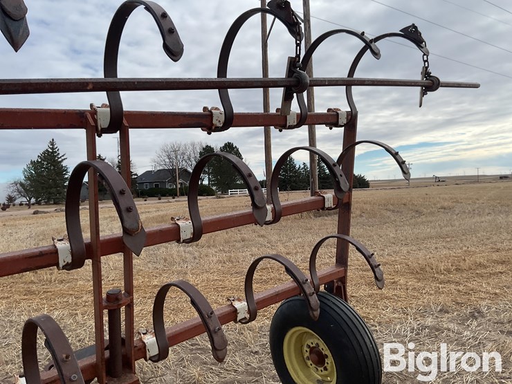 international-3-image-19