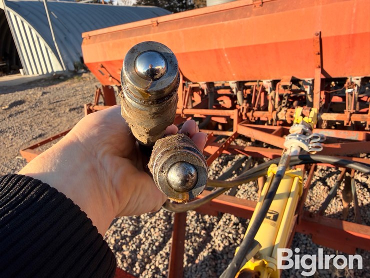 international-10-image-12