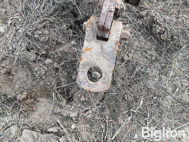 international-55-image-9