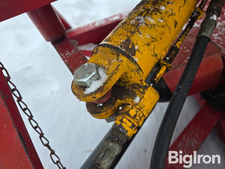 international-80-image-20