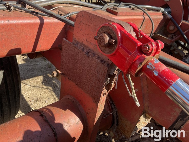 sunflower-1434-36-image-16