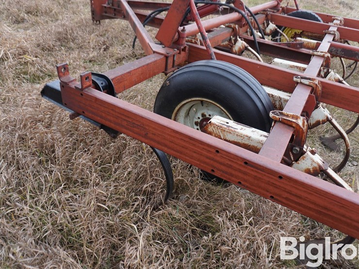 international-15-image-18