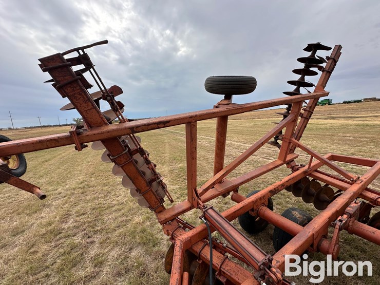 sunflower-ta-24-image-13