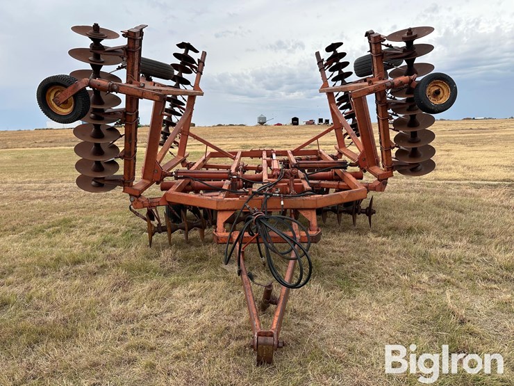 sunflower-ta-24-image-2