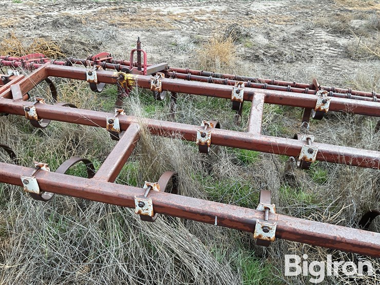 international-55-image-14