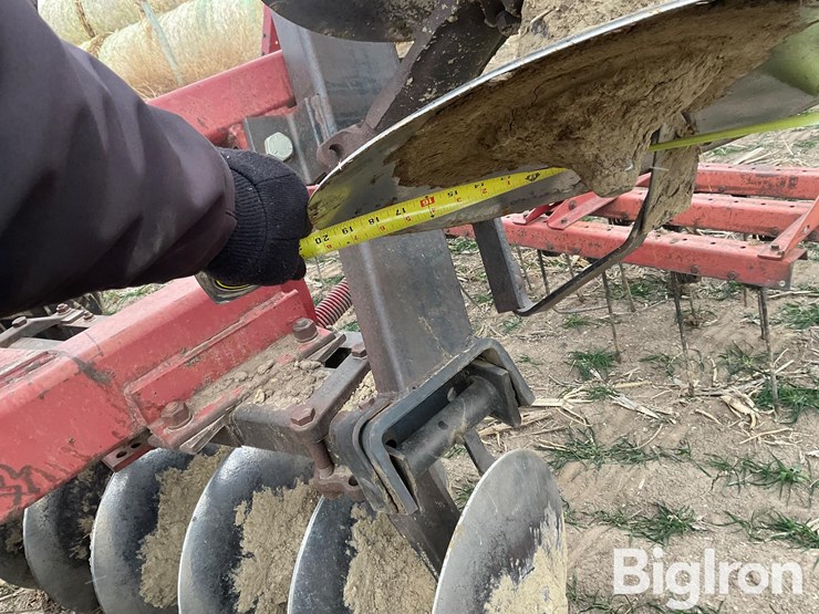 international-496-image-15