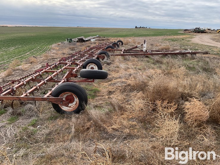 international-55-image-4